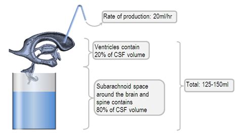 Properties And Contents Of Cerebrospinal Fluid Deranged Physiology