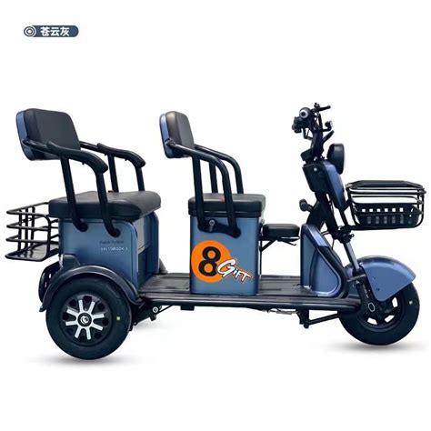 500W 48V 20A Electric Tricycle 3 Wheel Motorcycle For 2 or 3 Adults ...