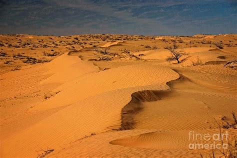 Sand Dunes in the Simpson Desert Photograph by Peter Kneen - Pixels