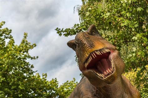 300 Free Thầu Dầu Rex Dinosaur Photos Pixabay