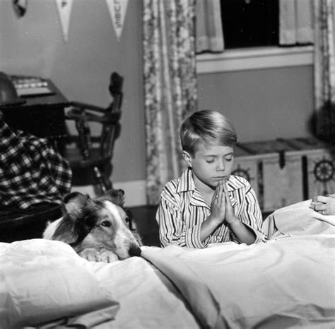 Lassie Tv Series 1954 1974 Photos Imdb