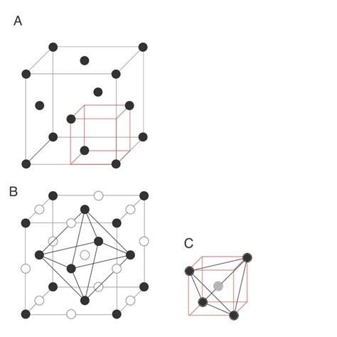 A Face Centered Cubic Fcc Lattice Such As The One Exhibited By O 2−