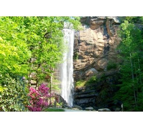 Toccoa | Toccoa, Tourism, Travel