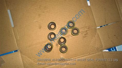 HA0380B 4110003492214 VALVE SEAL YUNNEI – Meppon Co., Ltd