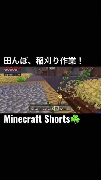 Minecraftshortsminecraft田んぼ、稲刈り作業！【マイクラ】shorts Youtube