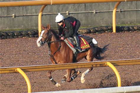 エリザベス女王杯2023特集｜競馬予想のウマニティ