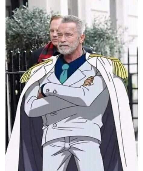 Garp Cosplay : r/MemePiece