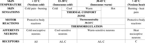 Activation Of The Different Skin Receptors In Response To Thermal