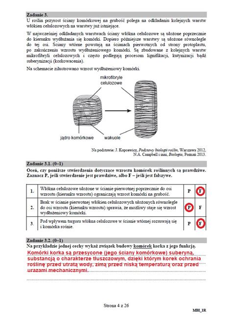 Matura Biologia Poziom Rozszerzony Arkusz Cke I Odpowiedzi Porn