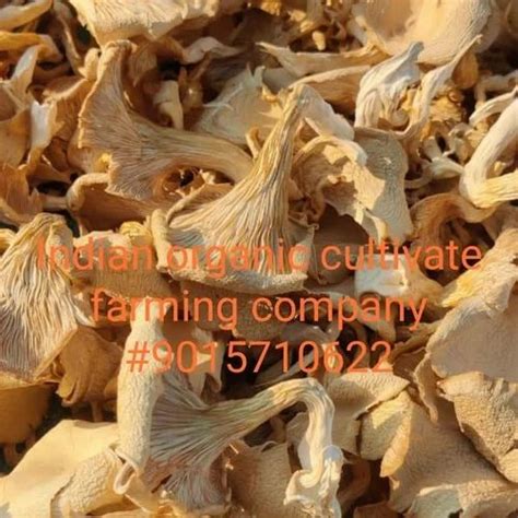 Pan India Organic Dried Oyster Mushroom Packaging Type Packet