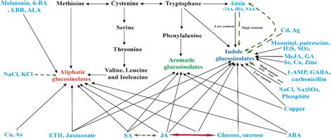 Frontiers Effects Of Plant Hormones Metal Ions Salinity Sugar And