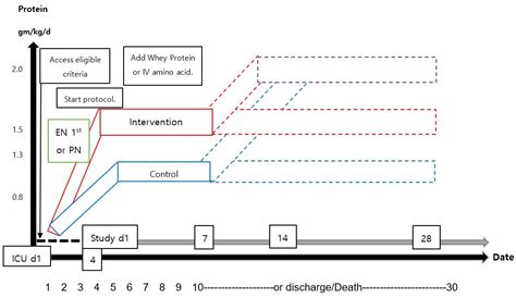 High-protein delivery in mechanically ventilated patients: A study protocol for a randomized ...