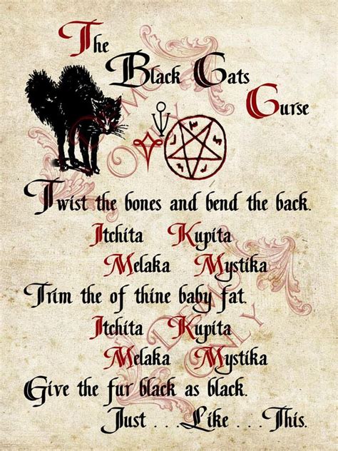 Grimoire Spell Herbs Magic Witch And Book Of Shadows Etsy