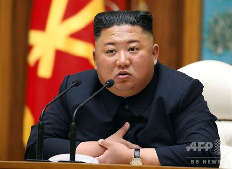 【解説】金正恩氏が死亡したら、北朝鮮はどうなる？ 写真4枚 国際ニュース：afpbb News