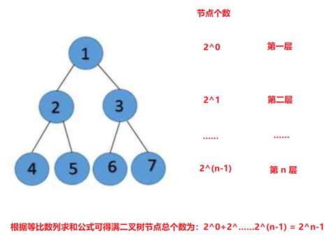 数据结构初阶 二叉树介绍（基本性质堆实现顺序结构） 一只少年aaa 博客园