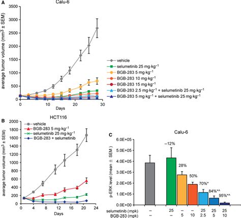 Combination Of Bgb And Selumetinib Exhibited Enhanced Antitumor