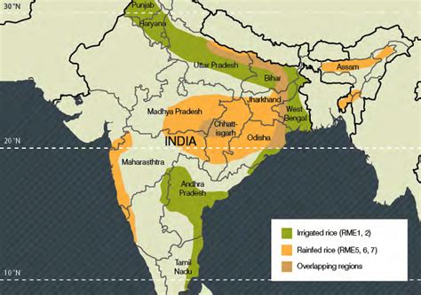 Rice Cultivation In India Map Gillie Donnamarie