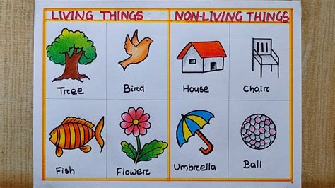 Living Things And Non Living Things Chart