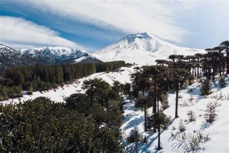 Corralco Resort De Monta A Centro De Ski Y Snowboard Valle Las