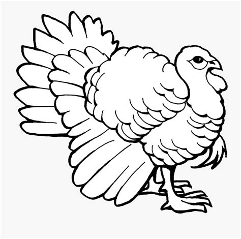 Turkey Clip Art Outline Black And White Transparent - Colouring Page Of ...