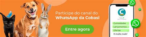 Qual a diferença entre cobra e serpente Entenda já Blog da Cobasi