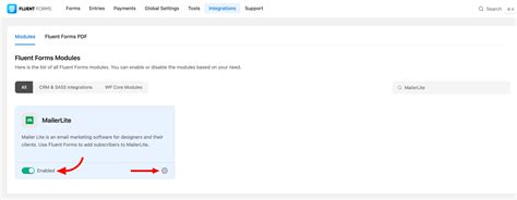 MailerLite Integration With Fluent Forms WP Manage Ninja
