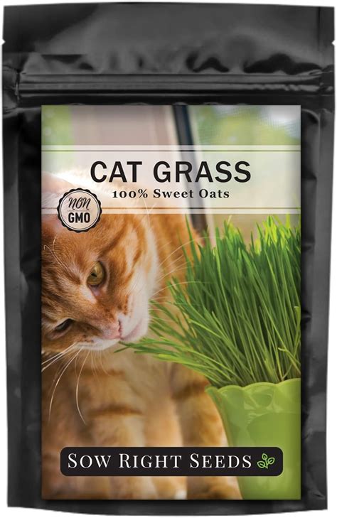 Sow Right Seeds Cat Grass Seed For Planting 8 Oz 100 Sweet Oats Non Gmo