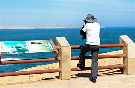 Tour Paracas Full Day Islas Ballestas Y Reserva Nacional De Paracas