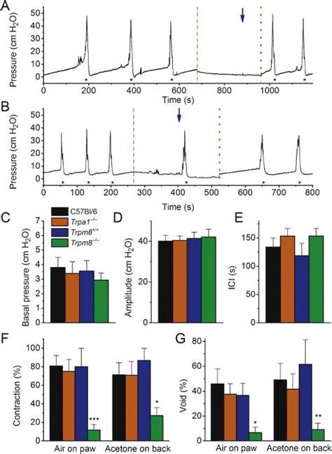 Role Of Trpm8 And Trpa1 In The Acute Cold Induced Bladder Response In