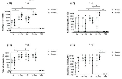 Vaccination Of Adult Male And Female Cd1 Mice With Binjari Virus