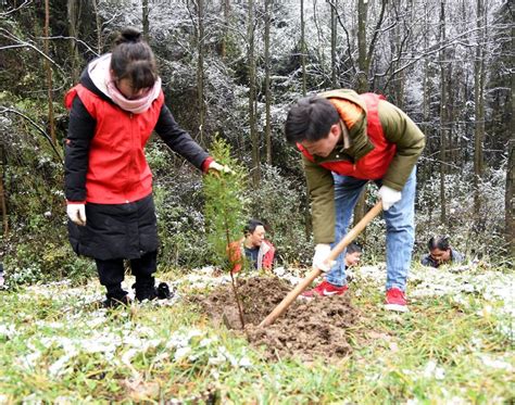 黔西市铁石乡：节后上班第一天植树添新绿贵州省义务山头