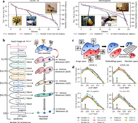 Figure From Unveiling And Mitigating Generalized Biases Of Dnns