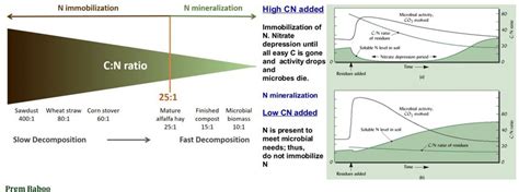 What Is The Relation Between C N Ratio And Crop Yields