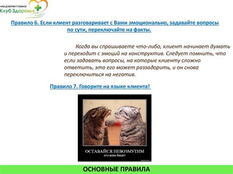 Виды звонков и скрипты презентация онлайн