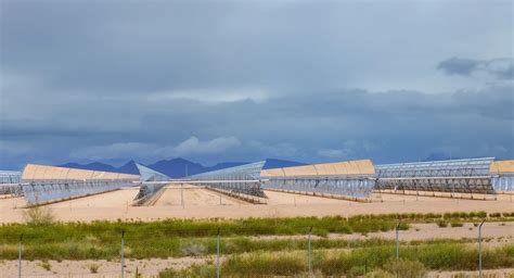 Arroser Ses Plantes Avec De Leau Charg E Au Soleil Un Lixir De Vie