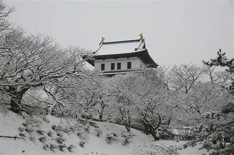 Matsumae Castle Japan Web Magazine