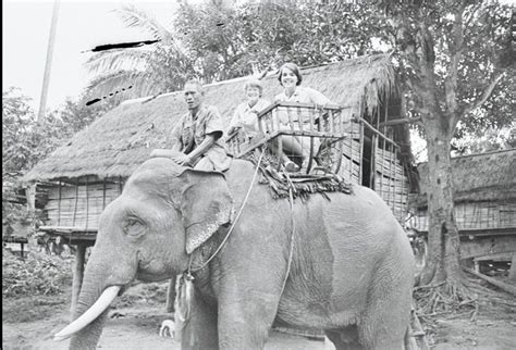 Elephant Stories from the Vietnam War - Elephants in Vietnam