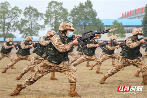 开训即开“战” ，湖南武警常德支队吹响新年度实战化练兵号角 组图 特种装备网