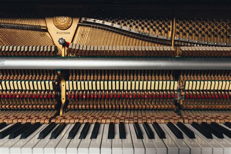 Banco de imagens música teclado tecnologia corda piano