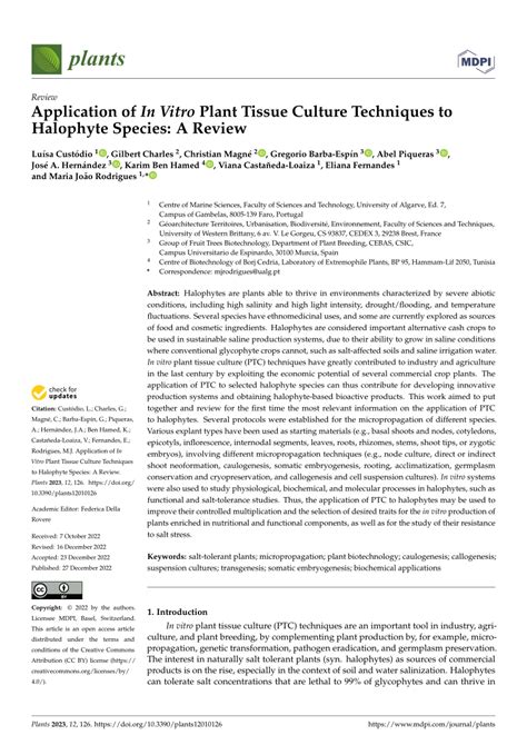 Pdf Application Of In Vitro Plant Tissue Culture Techniques To