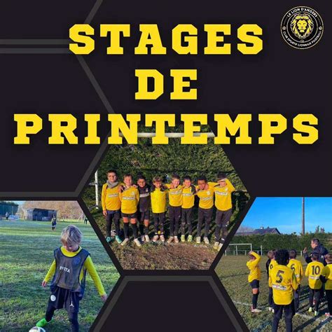 Stages CS Le Lion d Angers football école sport Maine et Loire