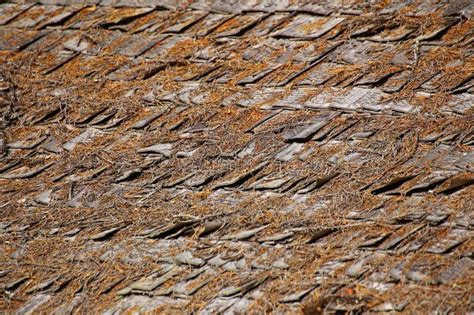 Detalle De Las Tejas De Tejado De Madera Usables Como Fondo O Textura