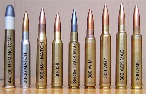 caliber comparison  win mag   win gun news daily