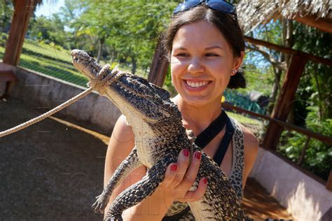 Sharm El Sheikh Crocodile And Snake Show