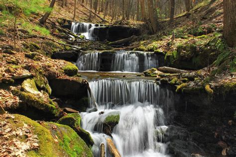 Free picture: waterfall, water, stream, forest, moss, ecology, river ...