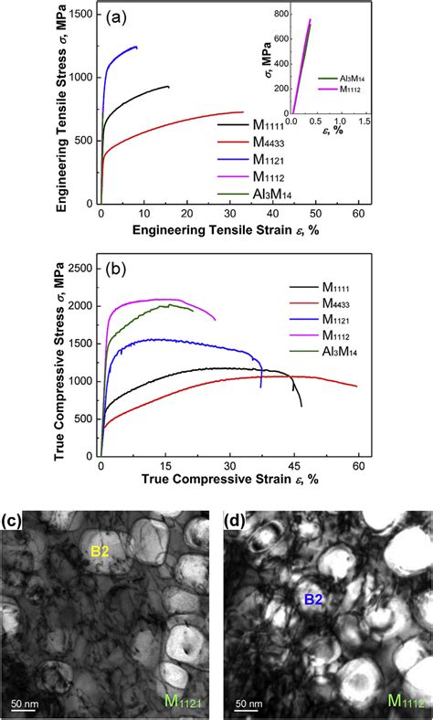 Engineering Tensile A And True Compressive B Stress Strain Curves Download Scientific