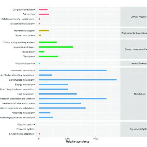 Secondary Functional Pathways And Relative Abundance Of Differential Download Scientific