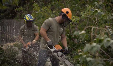 Utah County Tree Trimming Services Tree Co