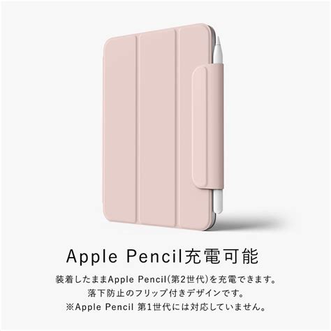 Ipad Mini Applepencil