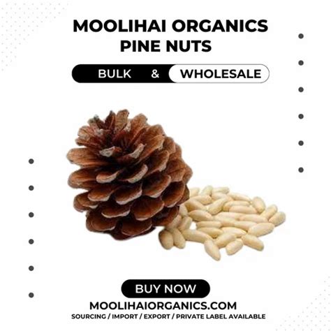 Pine Nuts Pignolias At Best Price In Panagudi By Moolihai Wellness